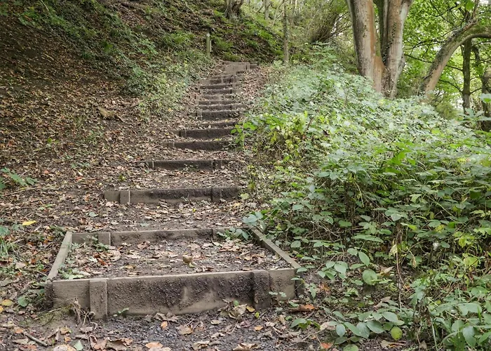 Silver Birches Holiday home *