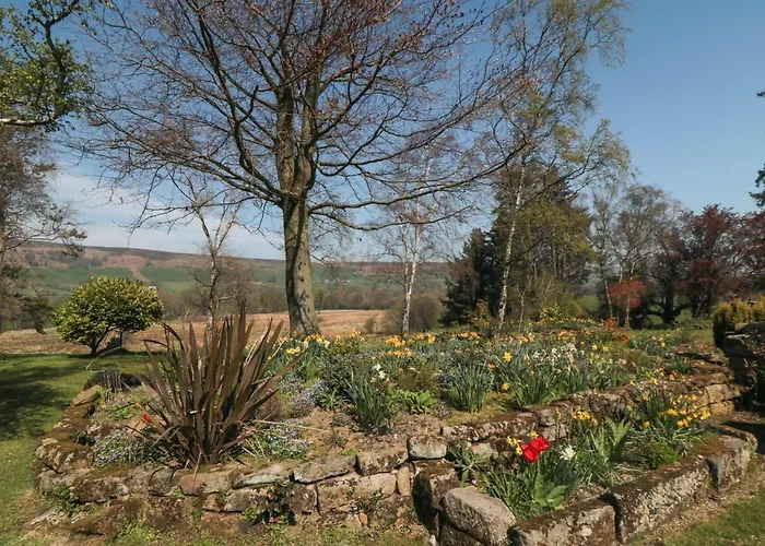 Silver Birches * Whitby
