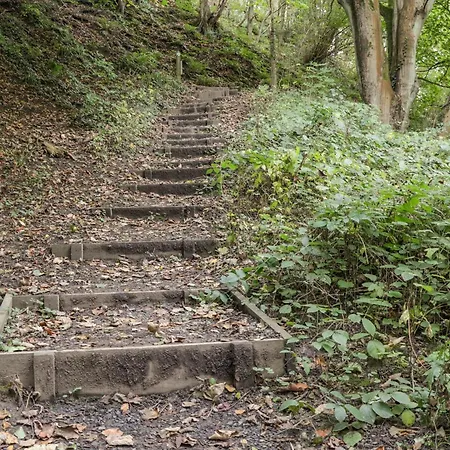 Silver Birches بيت للعطل *