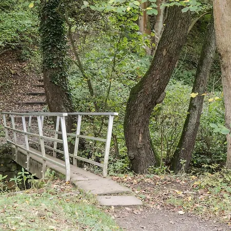 بيت للعطل Silver Birches *