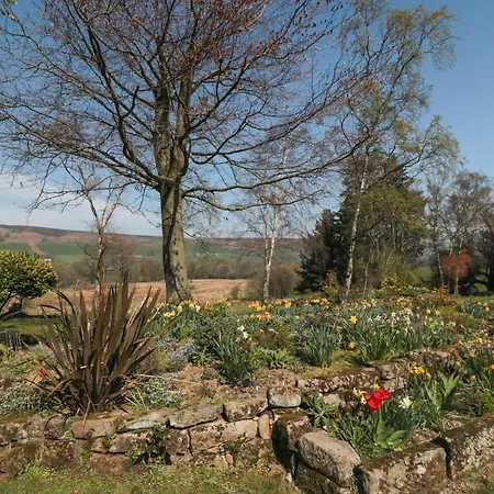 Silver Birches * Γουίτμπι