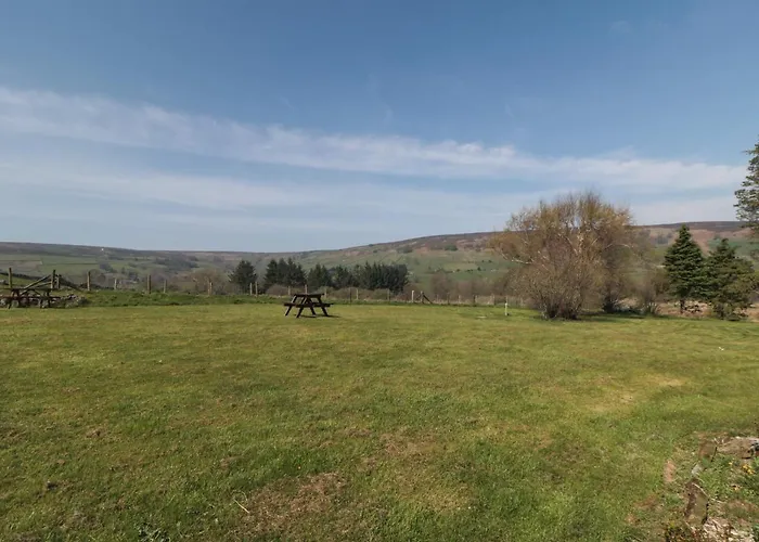 Silver Birches Γουίτμπι